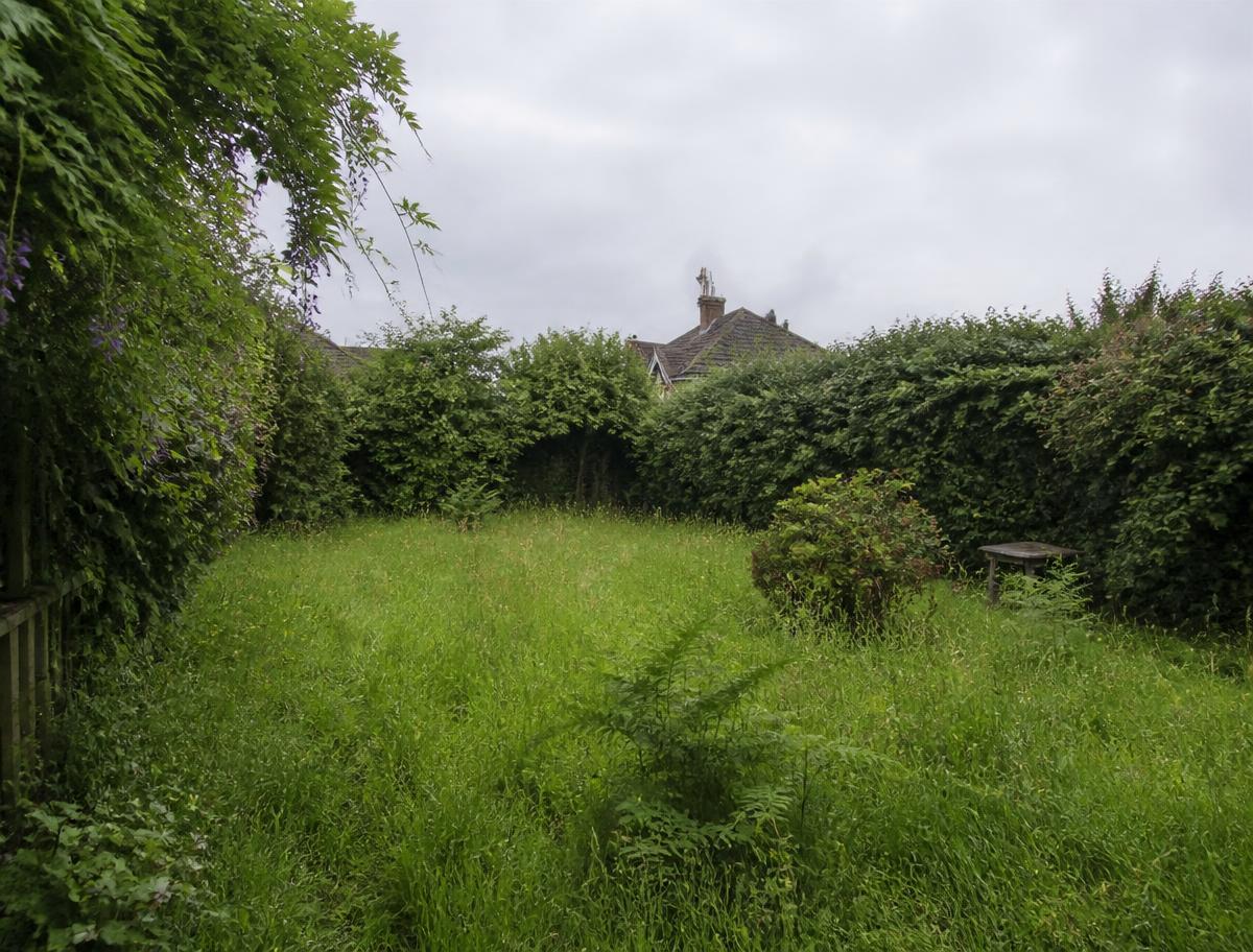 Jardin à l'abandon avec herbe très haute et haie hirsute avant intervention