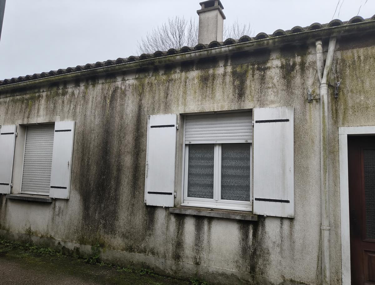 Façade de maison couverte de coulures noires et d'algues vertes avant nettoyage