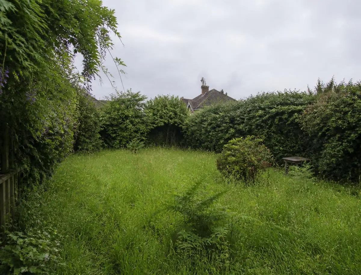 Jardin à l’herbe haute et aux haies non taillées