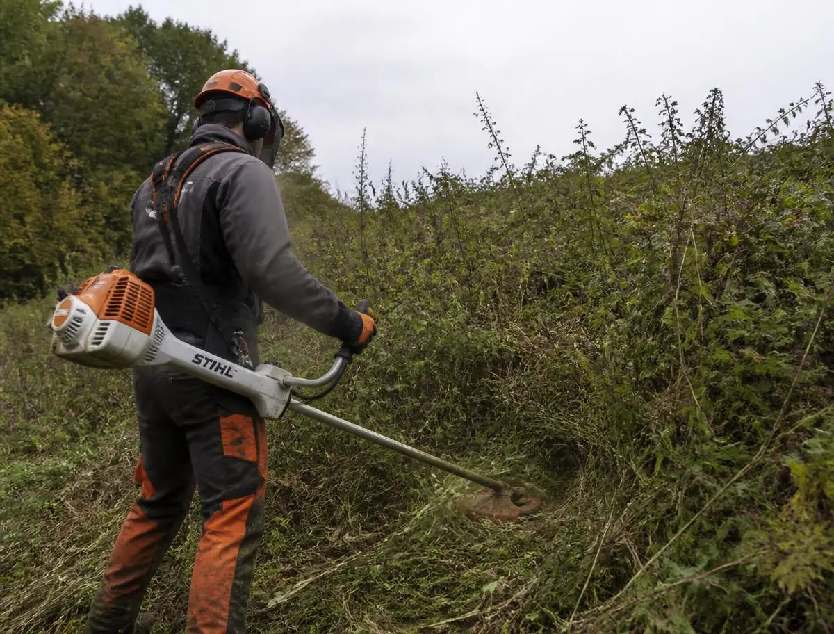 Ouvrier casqué, protections auditives, débroussaillant à la débroussailleuse un talus couvert de ronces et d’orties