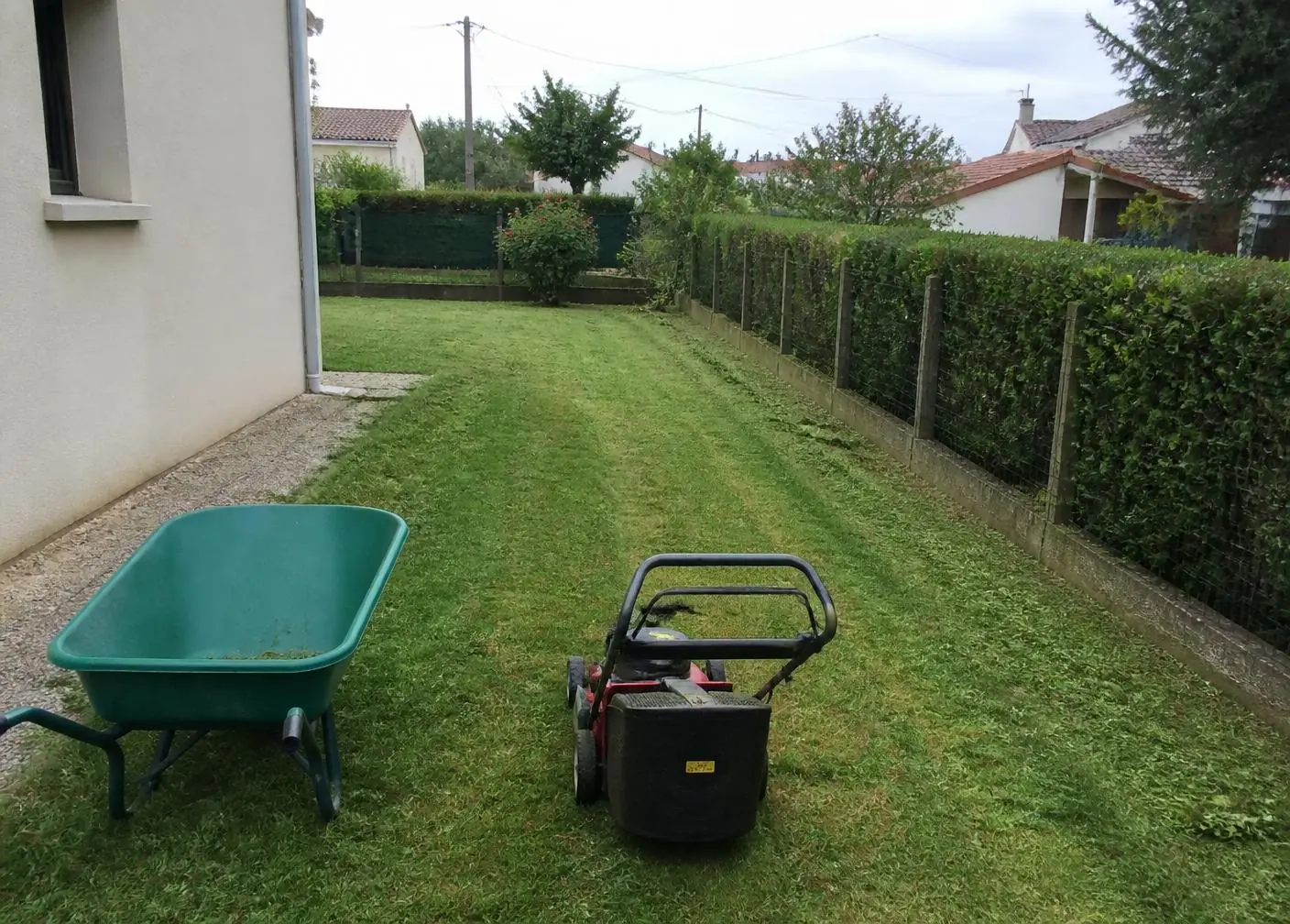 Pelouse fraîchement tondue le long d’une maison, tondeuse et brouette d’herbe coupée au premier plan, haie taillée sur la droite