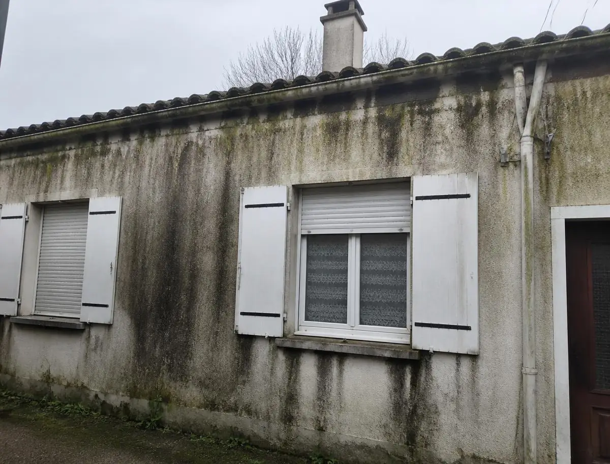 Façade de maison couverte de coulures noires et d'algues vertes avant nettoyage